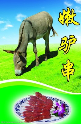 驴肉串图片素材