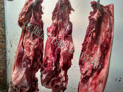 养殖基地直供鲜驴肉带皮鲜驴肉去皮鲜驴肉新鲜肉嫩